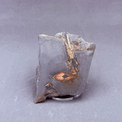 Mineral quiastolita - quiastolita,