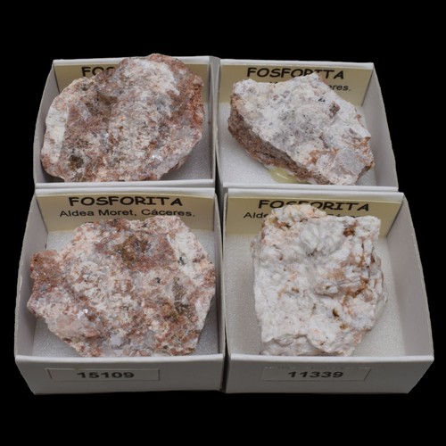 Fosforita aldea moret - fosforita,