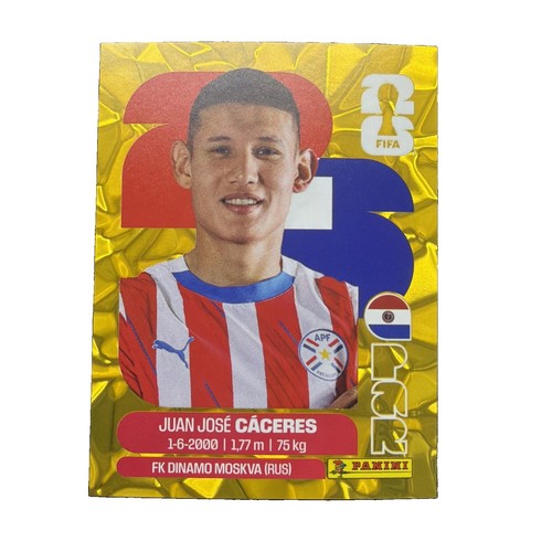 Panini world cup 2026 - panini,