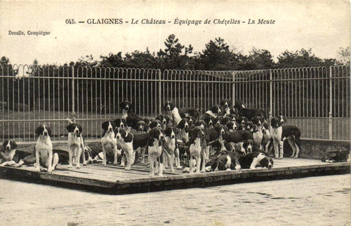 Caccia château - -,